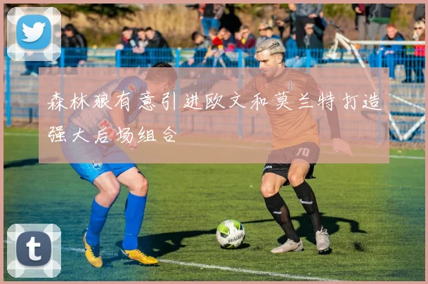 森林狼有意引进欧文和莫兰特打造强大后场组合